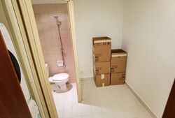 Orchard Scotts (D9), Condominium #398200881